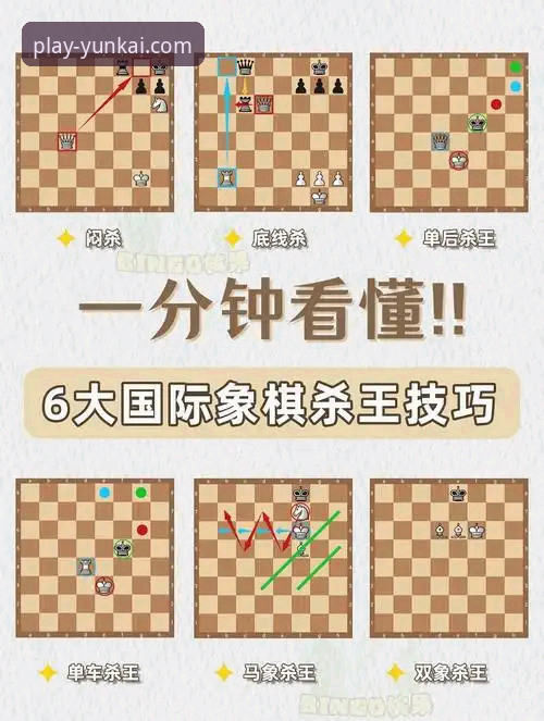 世界杯观赛实用指南：从德国队绝杀看云开娱乐平台体验提升技巧